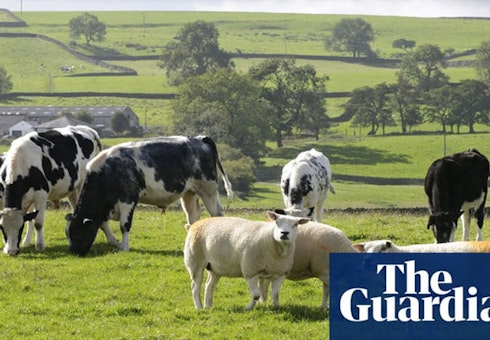 Under Tory rule, Britain isn’t just in the toilet – we’ve become the toilet Featured Image