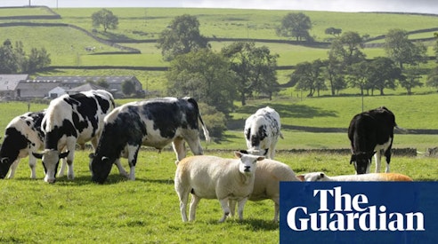 Under Tory rule, Britain isn’t just in the toilet – we’ve become the toilet Featured Image