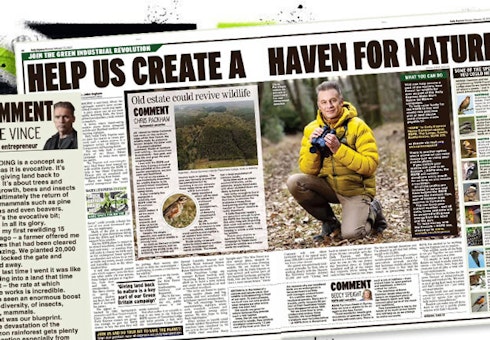 Green Britain: Help rewilding concept to give land back to nature Featured Image