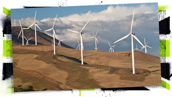 How to save money on your energy bills – go green and fuel the fight against climate change Featured Image