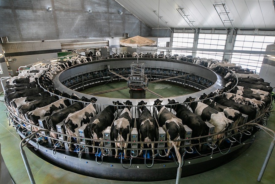 Milking carousel