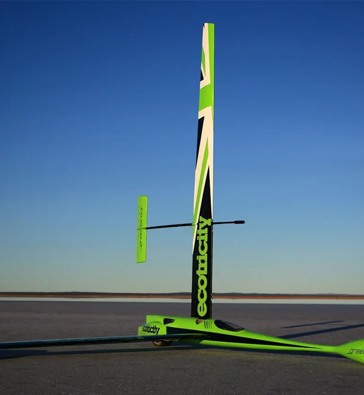 Greenbird