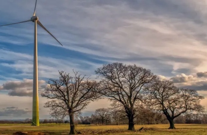 windmill and trees