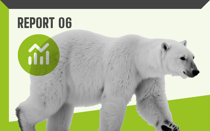 Report 06 – Polar bear