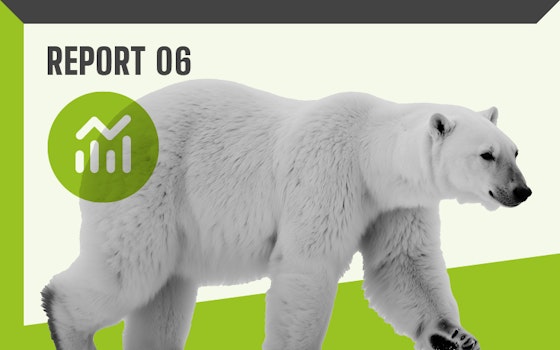 Report 06 – Polar bear