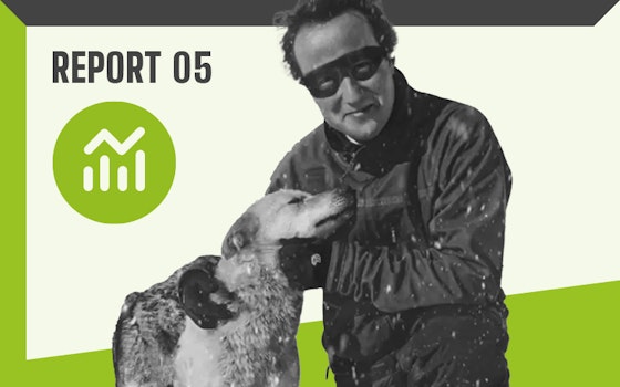 Report 05 – David Cameron - Robber
