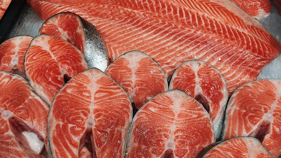 Salmon