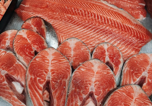 Salmon
