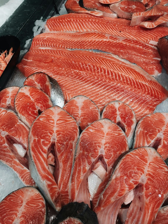Salmon