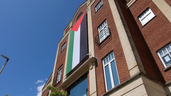 Palestine solidarity flag