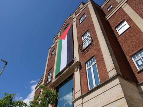 Palestine solidarity flag