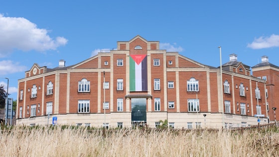 Palestine solidarity flag