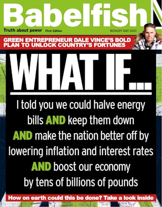 babelfish front cover