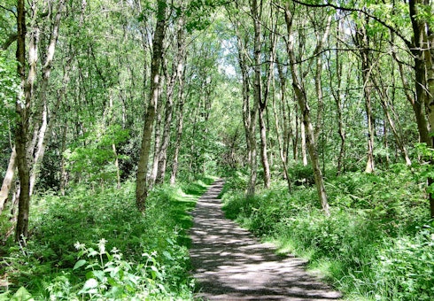 Path through Birchwood, Warrington Cheshire, UK. by Ron Saunders on Flickr