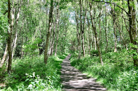 Path through Birchwood, Warrington Cheshire, UK. by Ron Saunders on Flickr