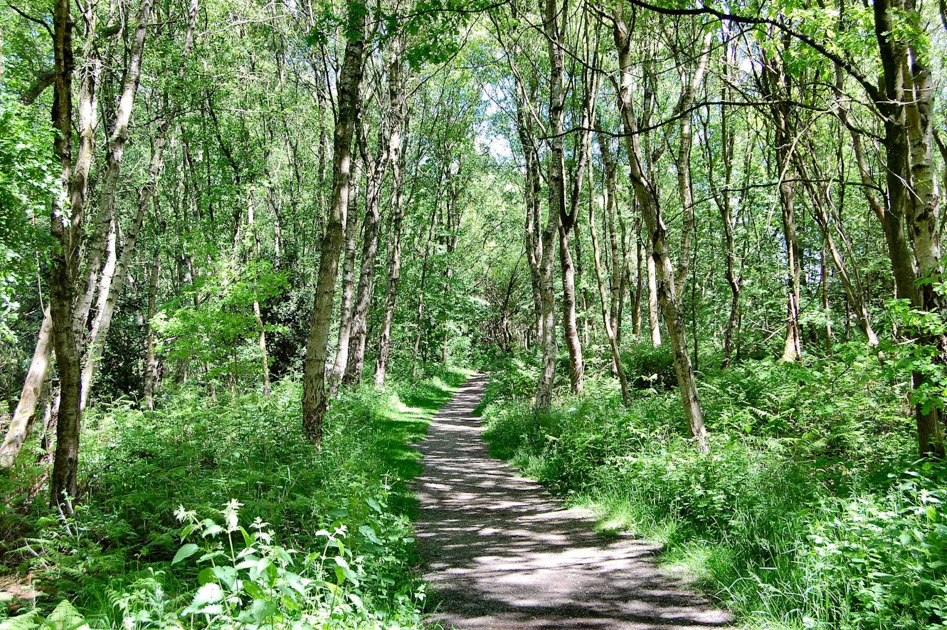 Path through Birchwood, Warrington Cheshire, UK. by Ron Saunders on Flickr