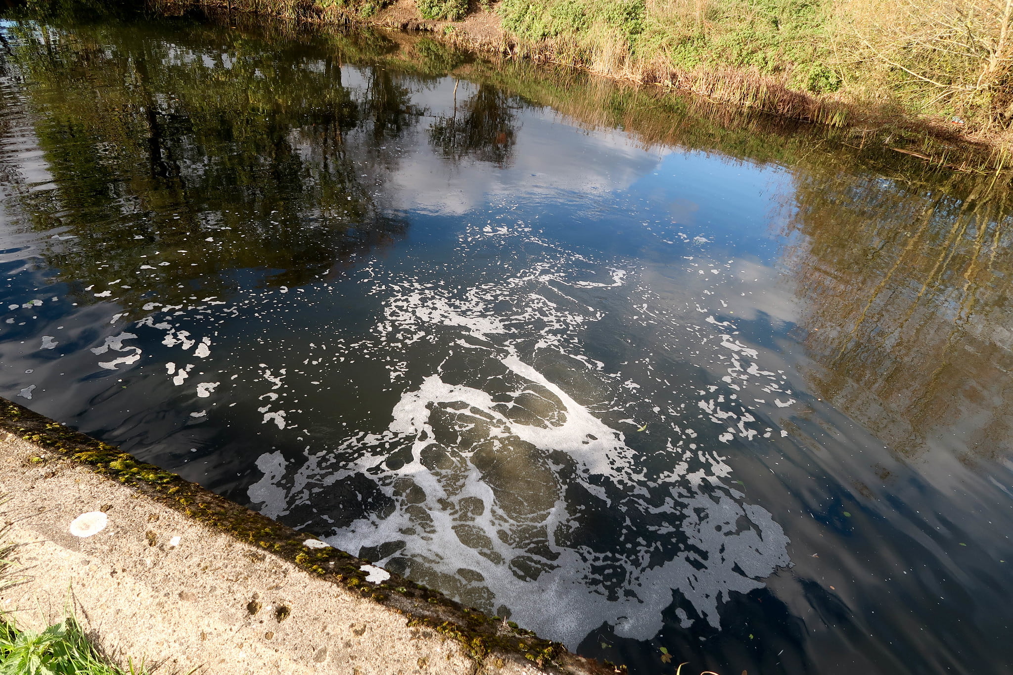 Sewage in river
