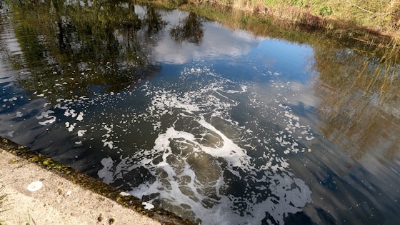 Sewage in river