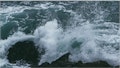Tidal