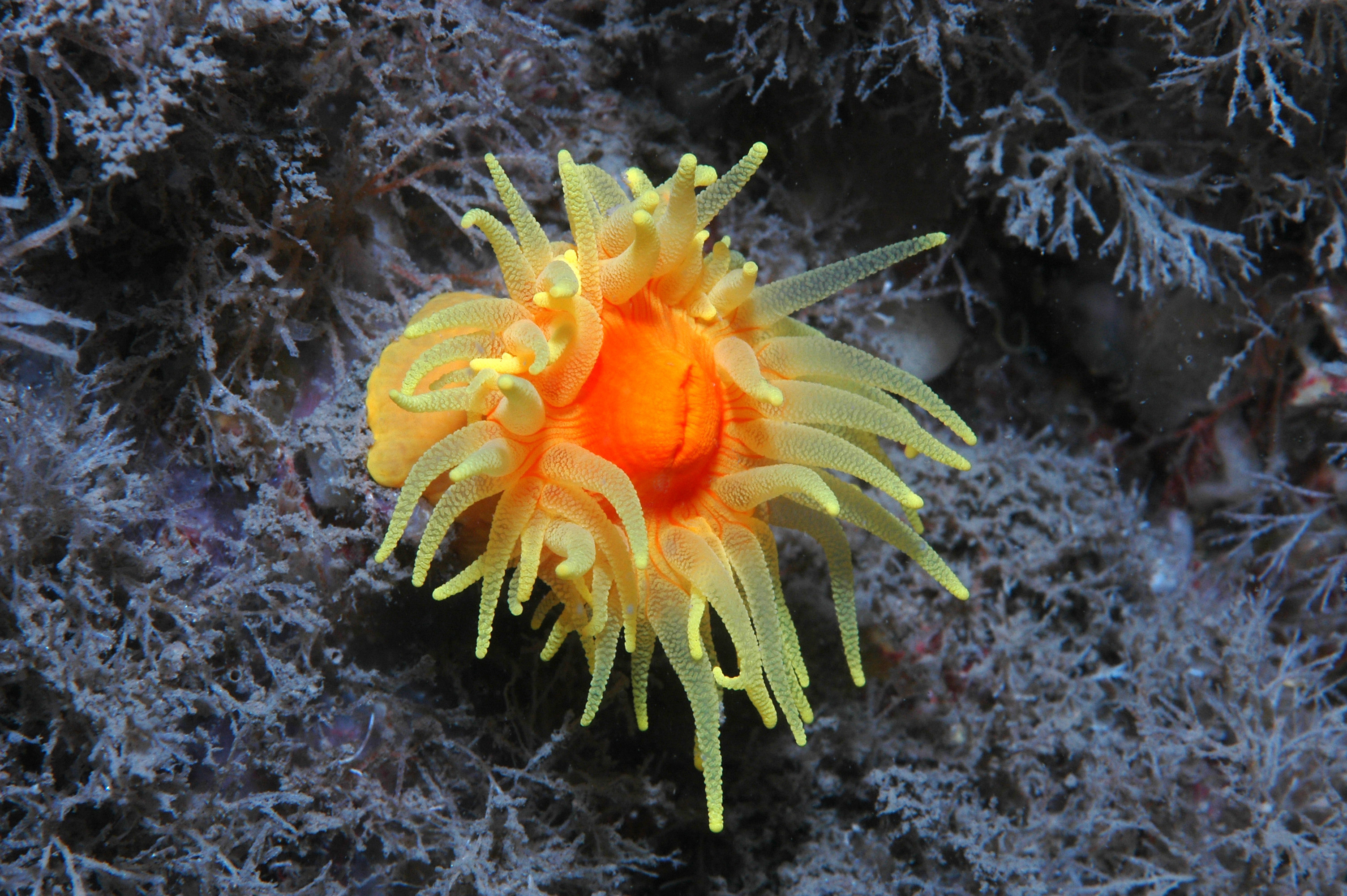 image position on the right