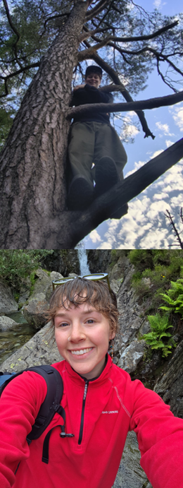 image position on the right