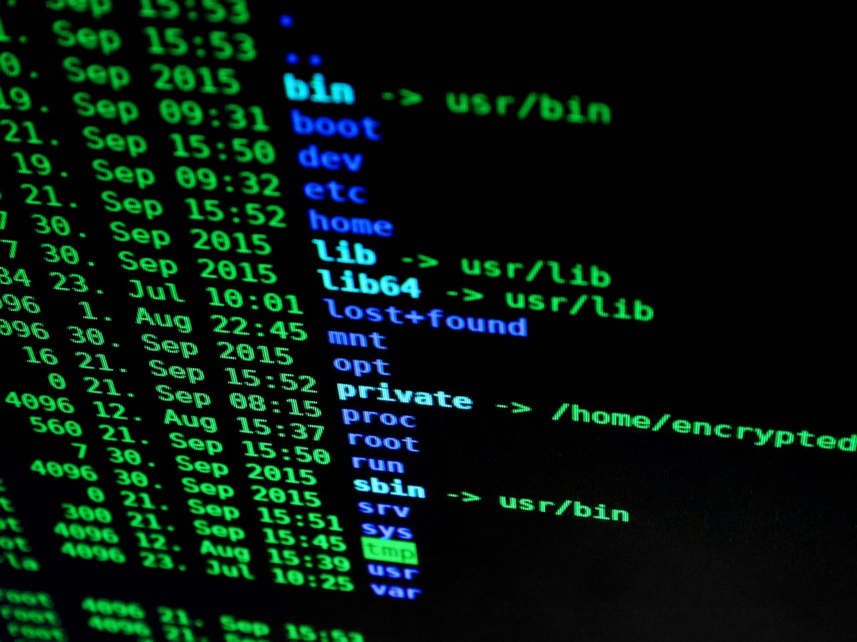 A beginner's guide to the terminal