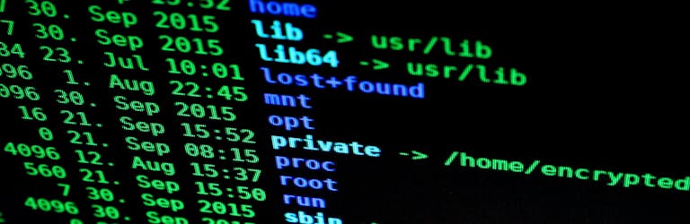 An illustrative photo of a computer terminal with green and blue text