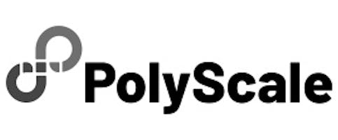 PolyScale Logo Go to PolyScale website