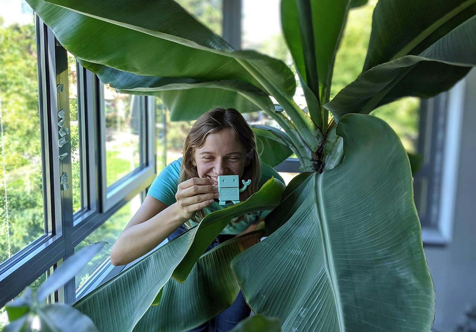 Naturbeobachtung am Fenster