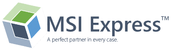 MSI Express Logo