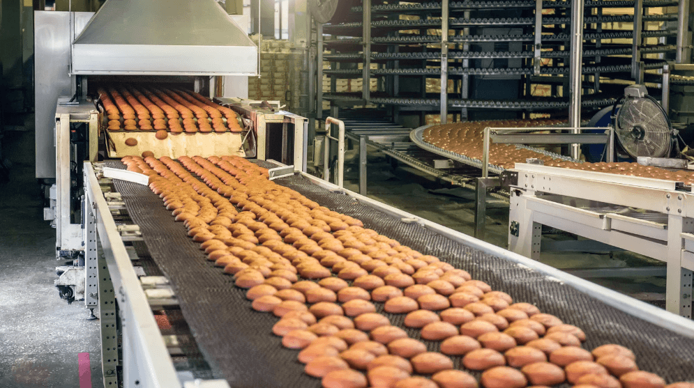 baked food on a conveyor belt