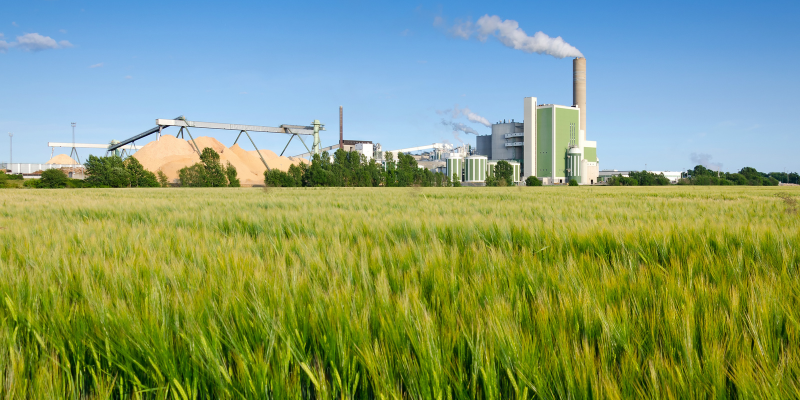 The Role of GMP in The Food Industry