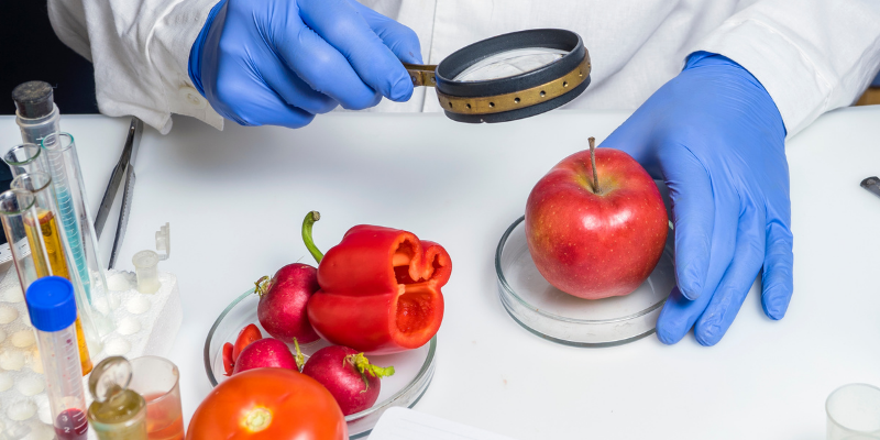 Magnifying glass with apple