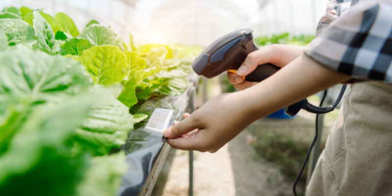 food traceability produce