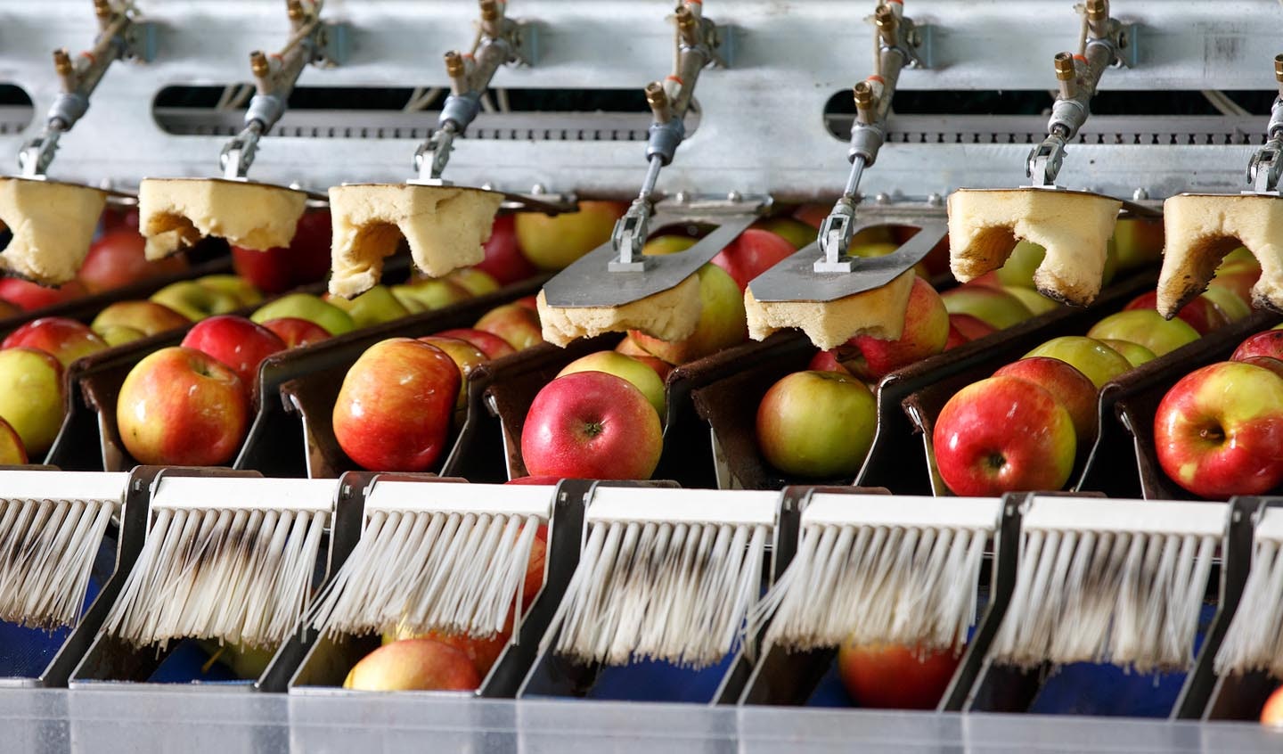 Customer Success Story: How Chelan Fruit Boosted Food Safety, Compliance & Productivity with a Paperless System