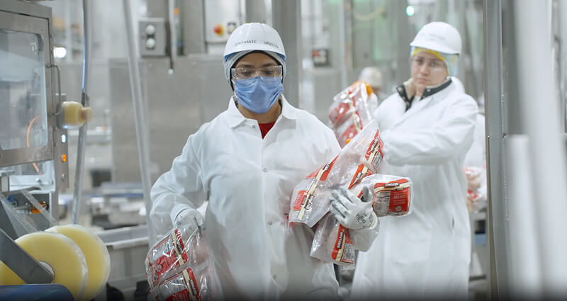 Safety Solutions: How Implementing EHS Software Can Drive Continuous Improvement