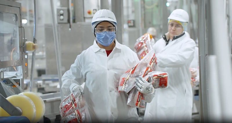 Safety Solutions: How Implementing EHS Software Can Drive Continuous Improvement