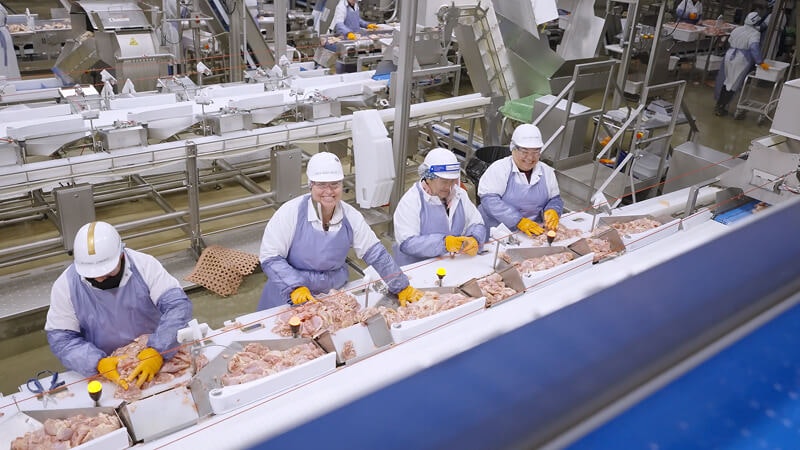 Front-line workers smiling while handling poultry