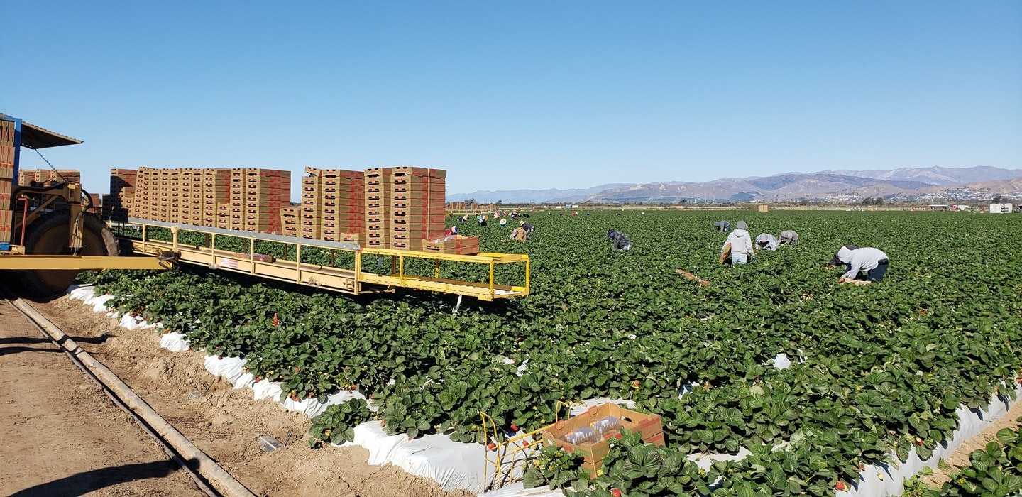 SEO undefined SEO Image