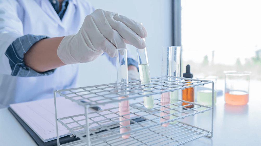 person testing food samples in test tubes for safety