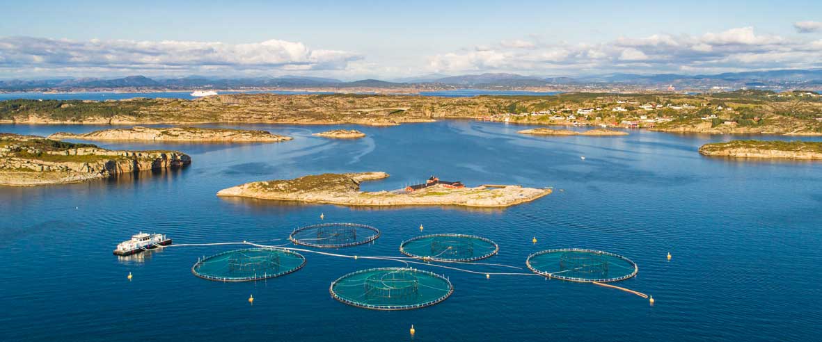 Aerial shot of a fish farm