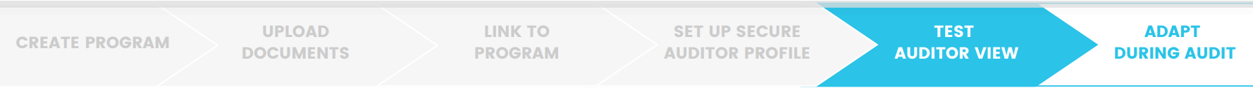 Step 5: Auditor View