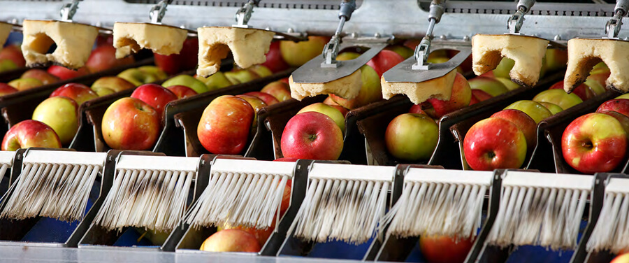 apples