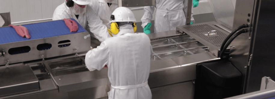 HyLife Foods pork processing