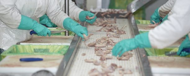 Chicken processing in a manufacturing plant