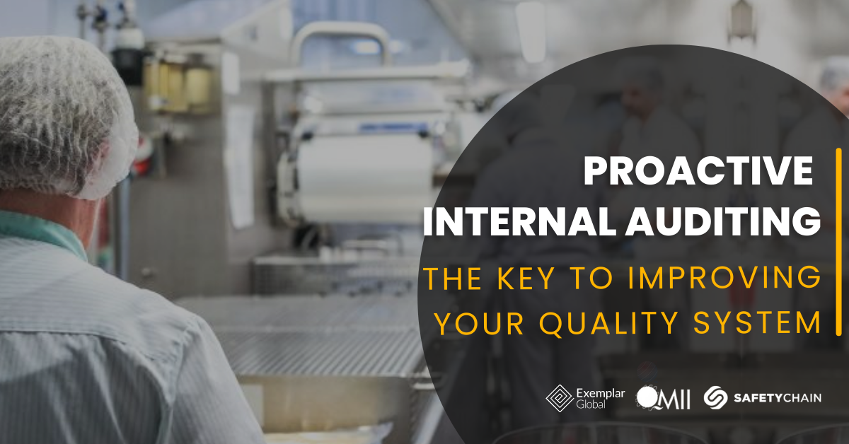 banner with Proactive Internal Auditing: The Key to Improving your Quality System
