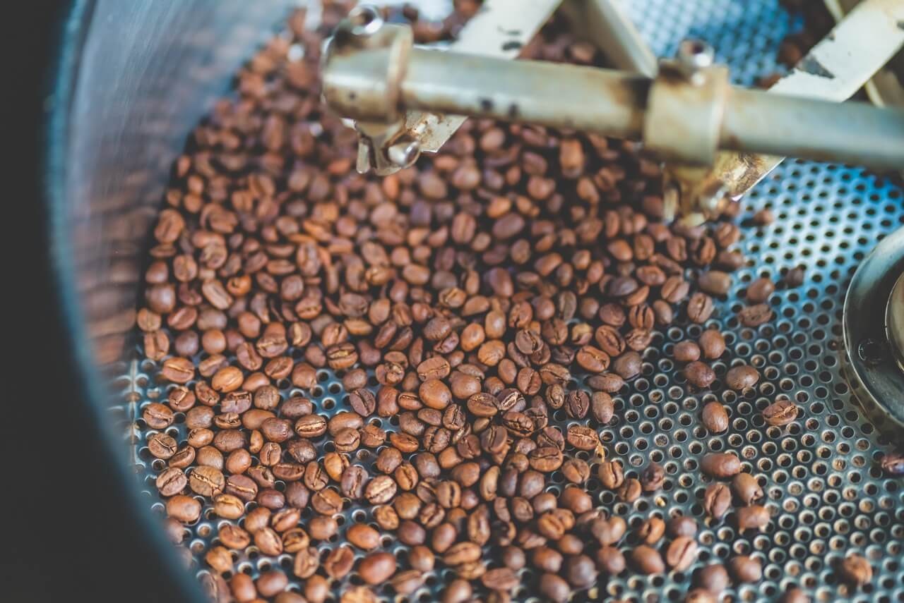 coffee bean roaster equipment in processing facility