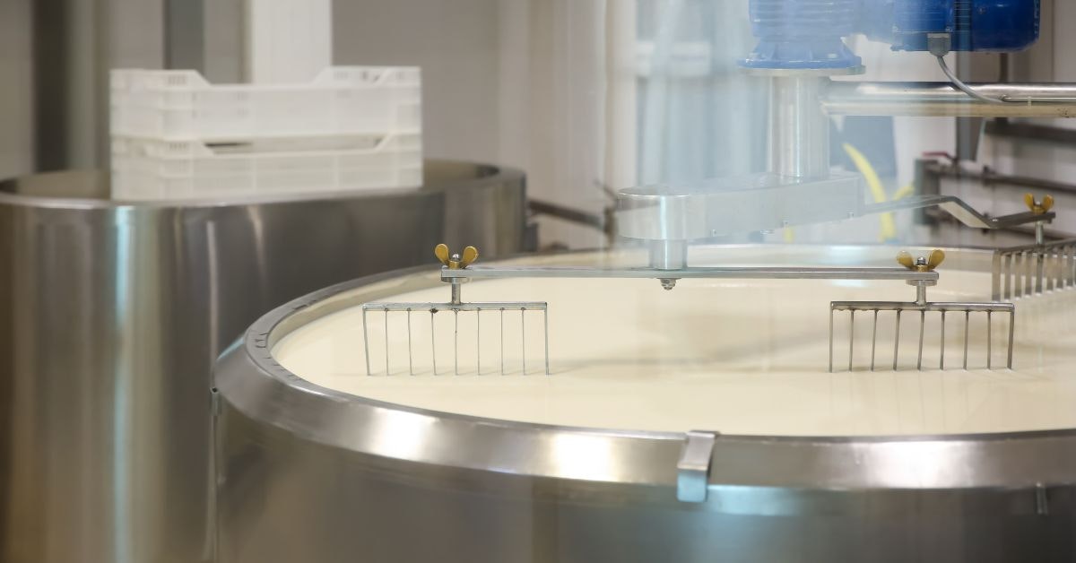 Milk in Curd Preparation Tank
