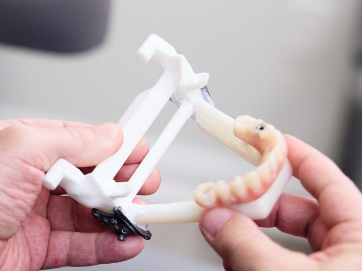 model of teeth