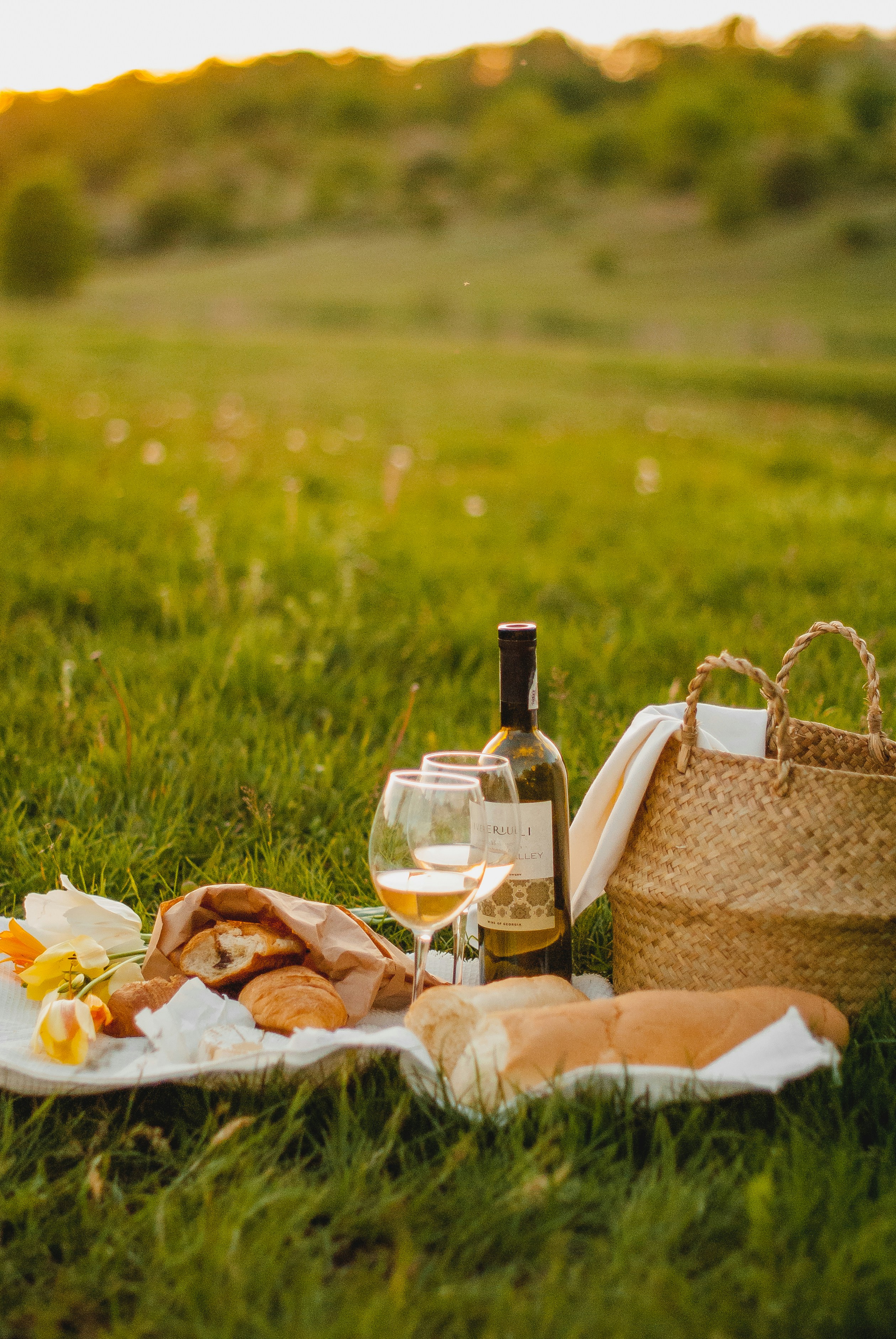 picnic